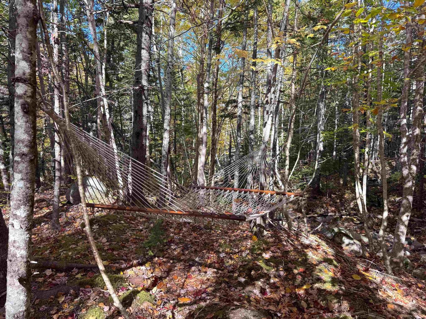 47403 Cabot Trail, Tarbotvale, NS