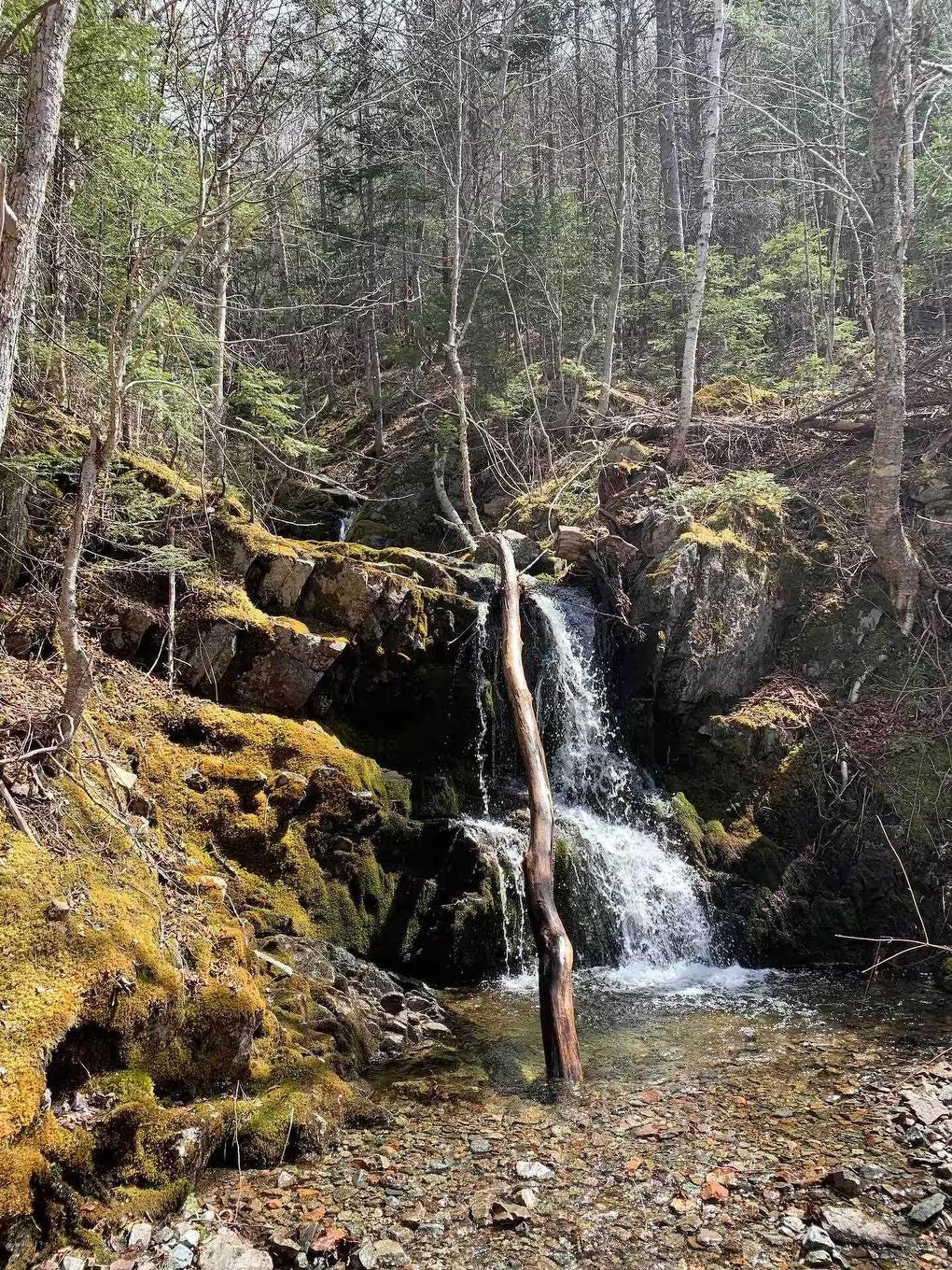 47403 Cabot Trail, Tarbotvale, NS