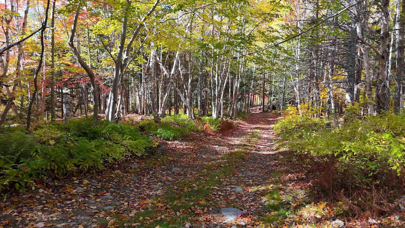 47403 Cabot Trail, Tarbotvale, NS