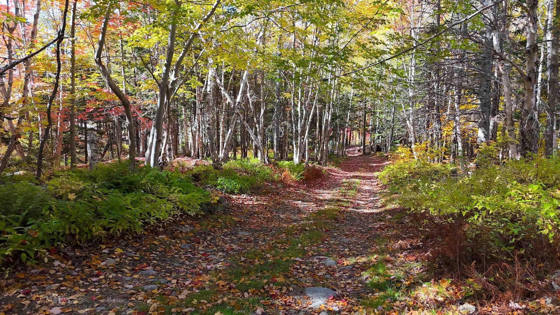 47403 Cabot Trail, Tarbotvale, NS