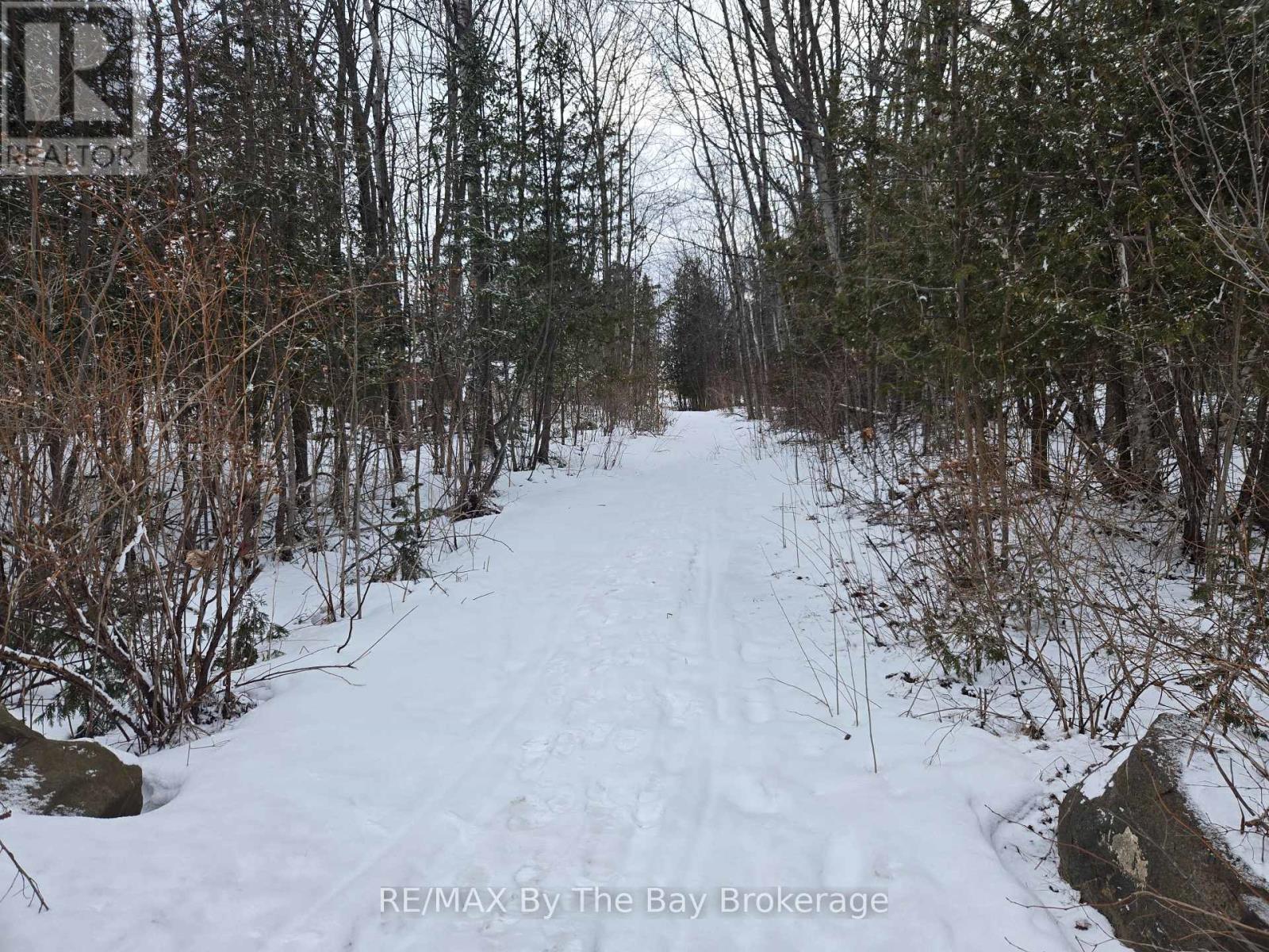 Lake access path - 397 Silver Birch Drive, Tiny, ON - Outdoor With View
