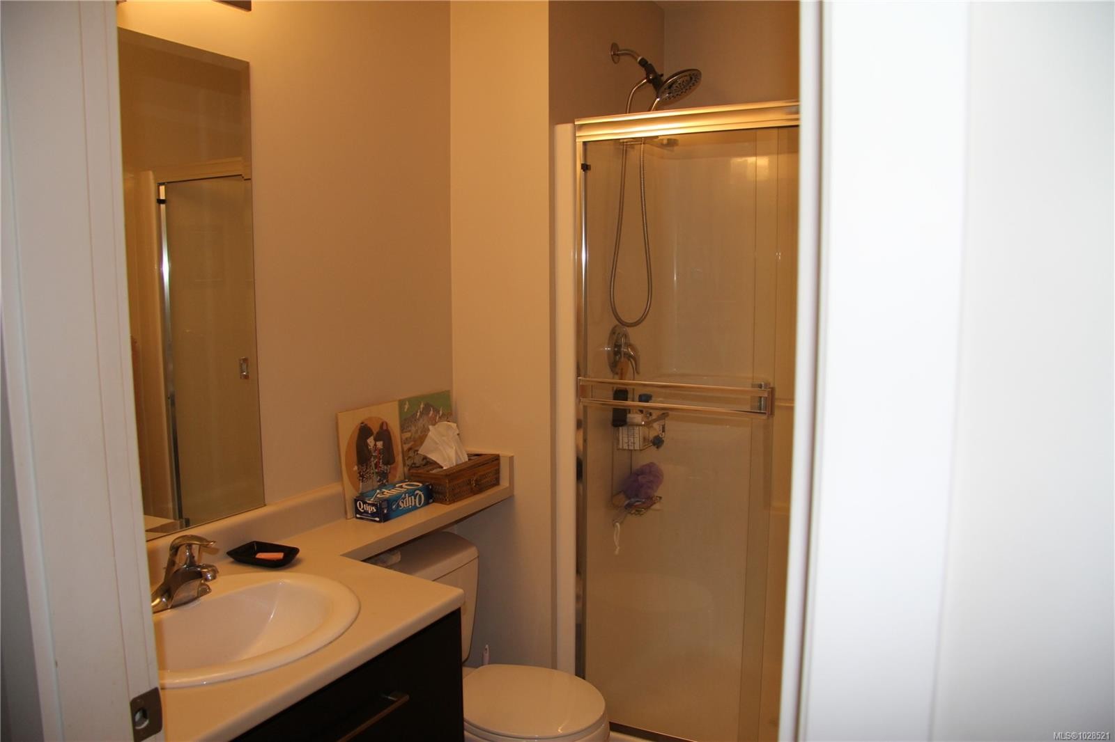 207-2117 Meredith Rd, Nanaimo, BC - Indoor Photo Showing Bathroom