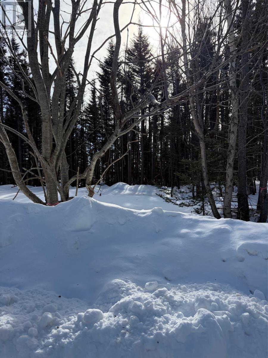 38 Spruce Grove Road, Parson'S Pond, NL