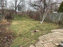 Large Fenced Yard -