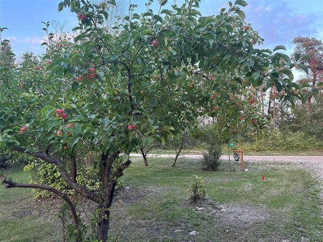 10 Douglas Dr, Alexander, MB