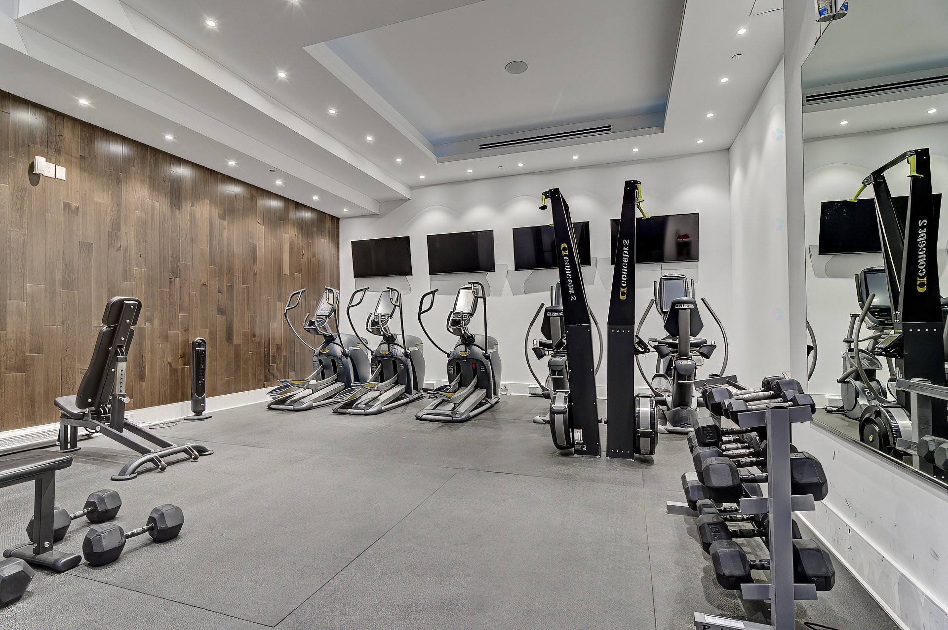 Exercise Room - 2009-1188 Av. Union, Montréal (Ville-Marie), QC - Indoor Photo Showing Gym Room
