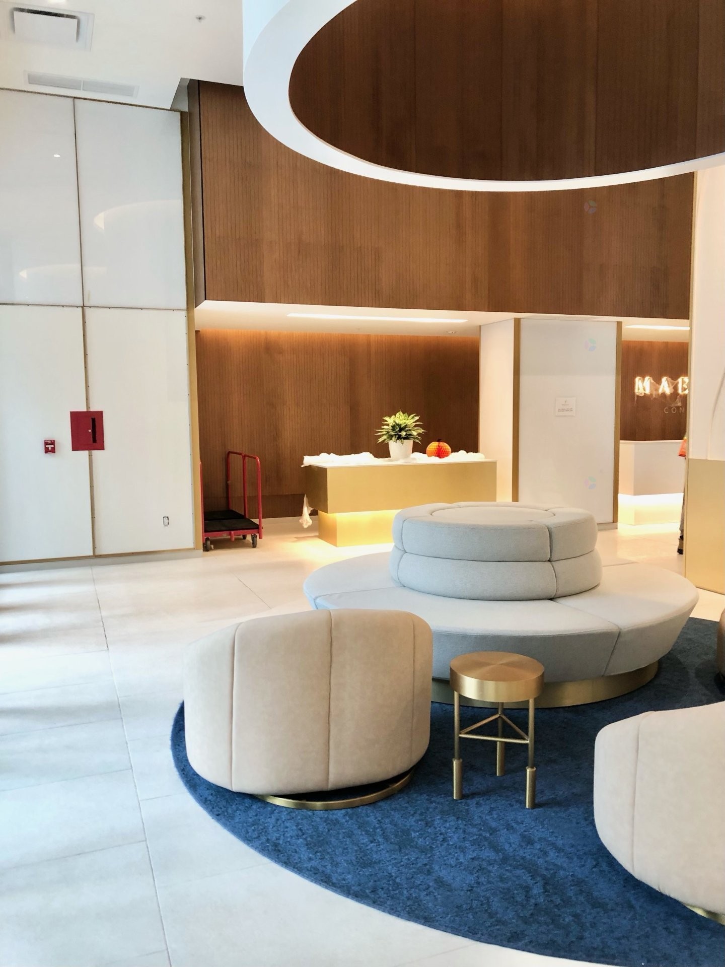 Hall d'entrée/Vestibule - 3108-1210 Rue Jeanne-Mance, Montréal (Ville-Marie), QC - Indoor Photo Showing Other Room