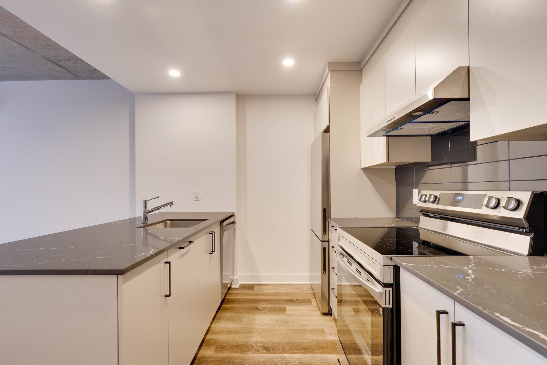 Kitchen - 402-1620 Boul. De La Côte-Vertu, Montréal (Saint-Laurent), QC - Indoor Photo Showing Kitchen