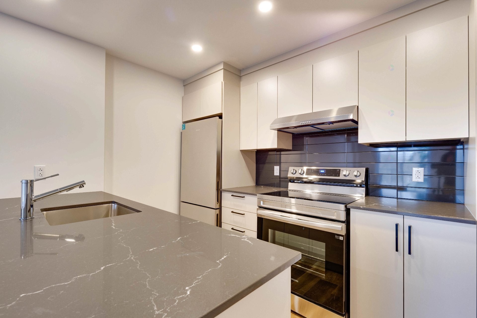 Kitchen - 402-1620 Boul. De La Côte-Vertu, Montréal (Saint-Laurent), QC - Indoor Photo Showing Kitchen