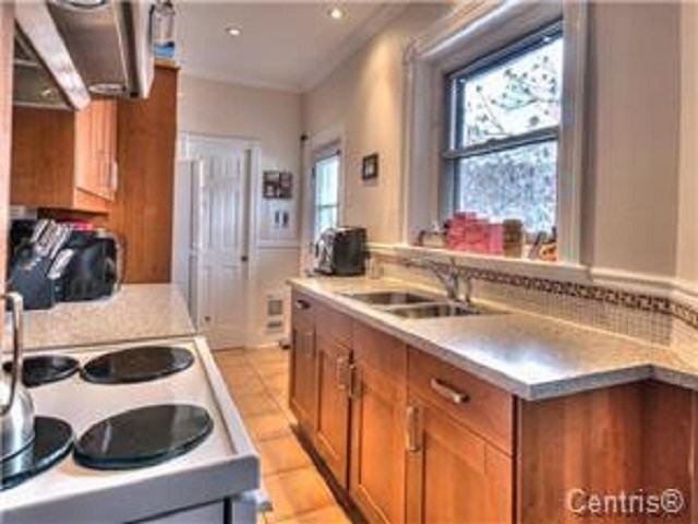 Cuisine - 4867 Rue La Fontaine, Montréal (Mercier/Hochelaga-Maisonneuve), QC - Indoor Photo Showing Kitchen With Double Sink