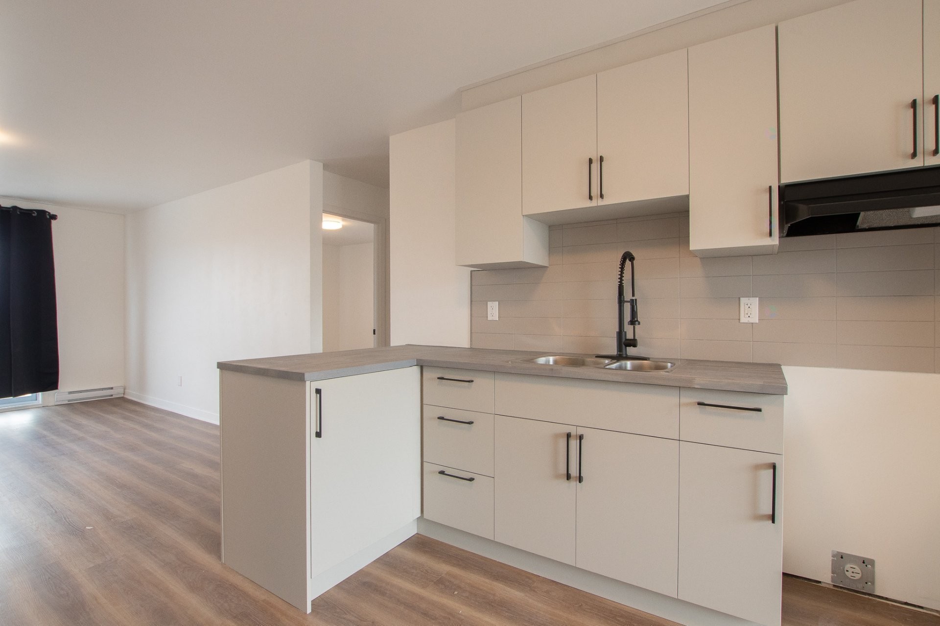 Kitchen - 1-189 Rue Hector-Lanthier, Saint-Eustache, QC - Indoor Photo Showing Kitchen With Double Sink