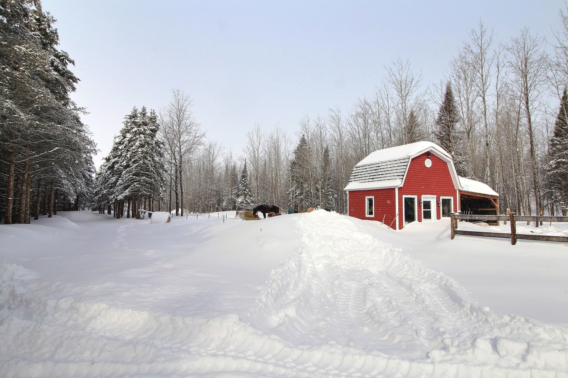 Remise - 277 Route 111, Val-D'Or, QC - Outdoor