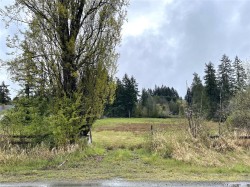 Lot B Chapman Rd Port Alberni, BC V9Y 8K4