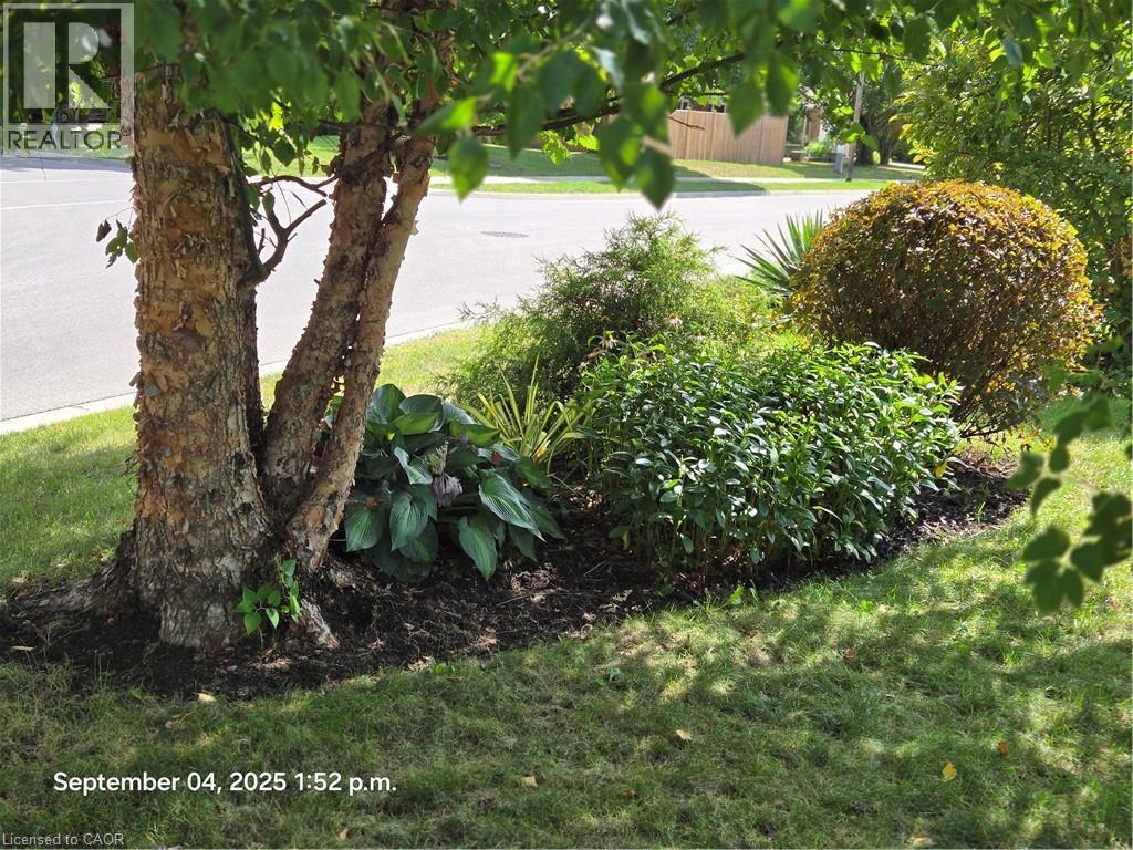 27 Hepburn Avenue, St. Thomas, ON - Outdoor