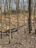 0 RALLISON LANE Faraday, ON K0L 2L0