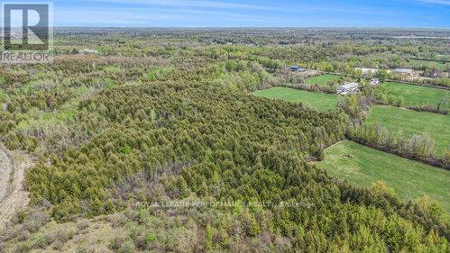 7 Mcdonell Crescent, Ottawa, ON