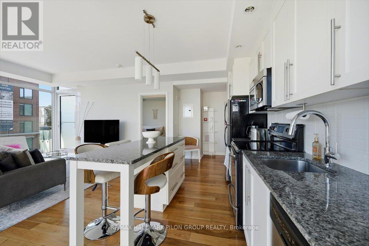 413 - 238 Besserer Street, Ottawa, ON - Indoor Photo Showing Kitchen With Upgraded Kitchen