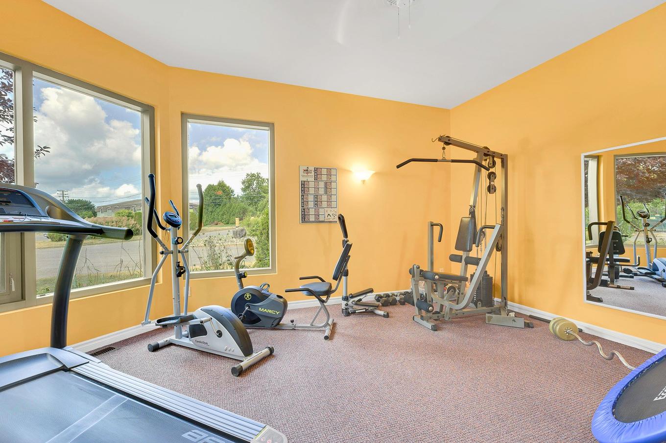 Salle d'exercice - 10-780 Rue Bélanger, Saint-Jérôme, QC - Indoor Photo Showing Gym Room