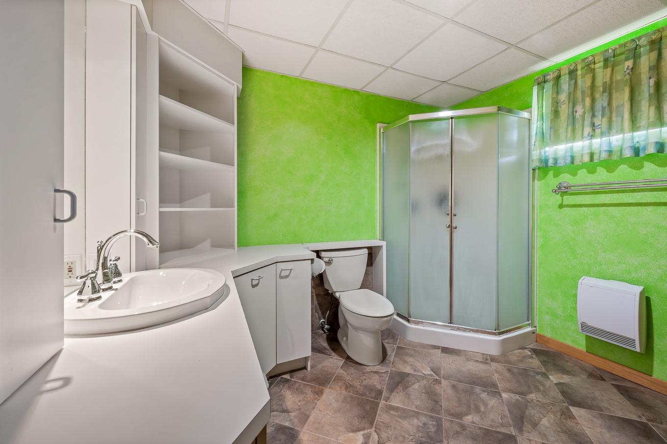 Salle de bains - 21 Rue Du Seigle, Lévis (Les Chutes-De-La-Chaudière-Ouest), QC - Indoor Photo Showing Bathroom