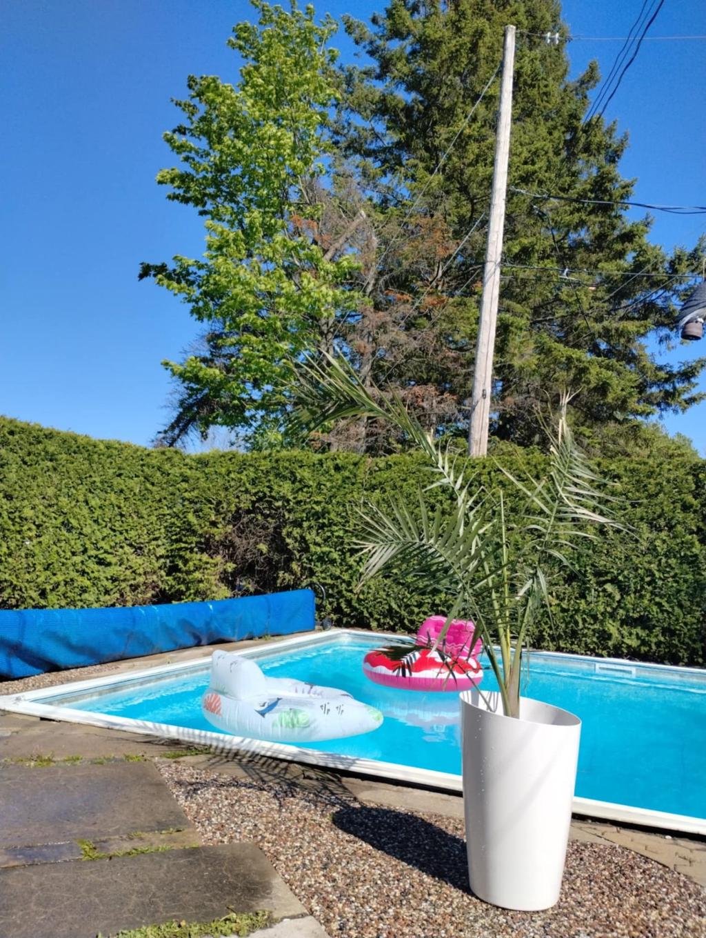 Cour - 21 Rue Du Seigle, Lévis (Les Chutes-De-La-Chaudière-Ouest), QC - Outdoor With In Ground Pool