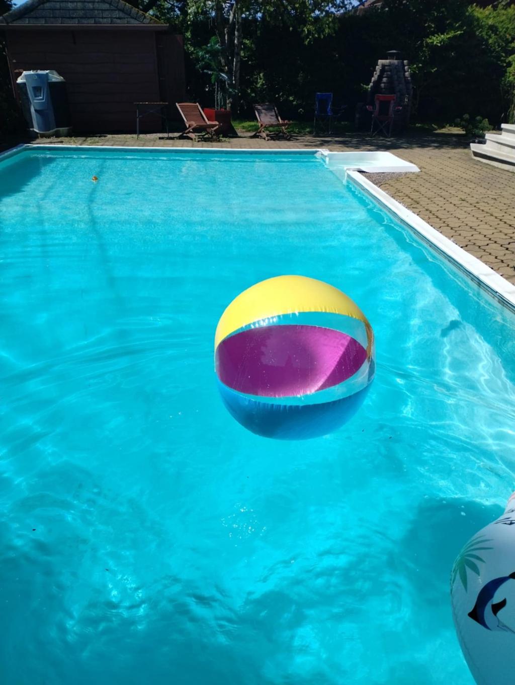 Piscine - 21 Rue Du Seigle, Lévis (Les Chutes-De-La-Chaudière-Ouest), QC - Outdoor With In Ground Pool With Backyard