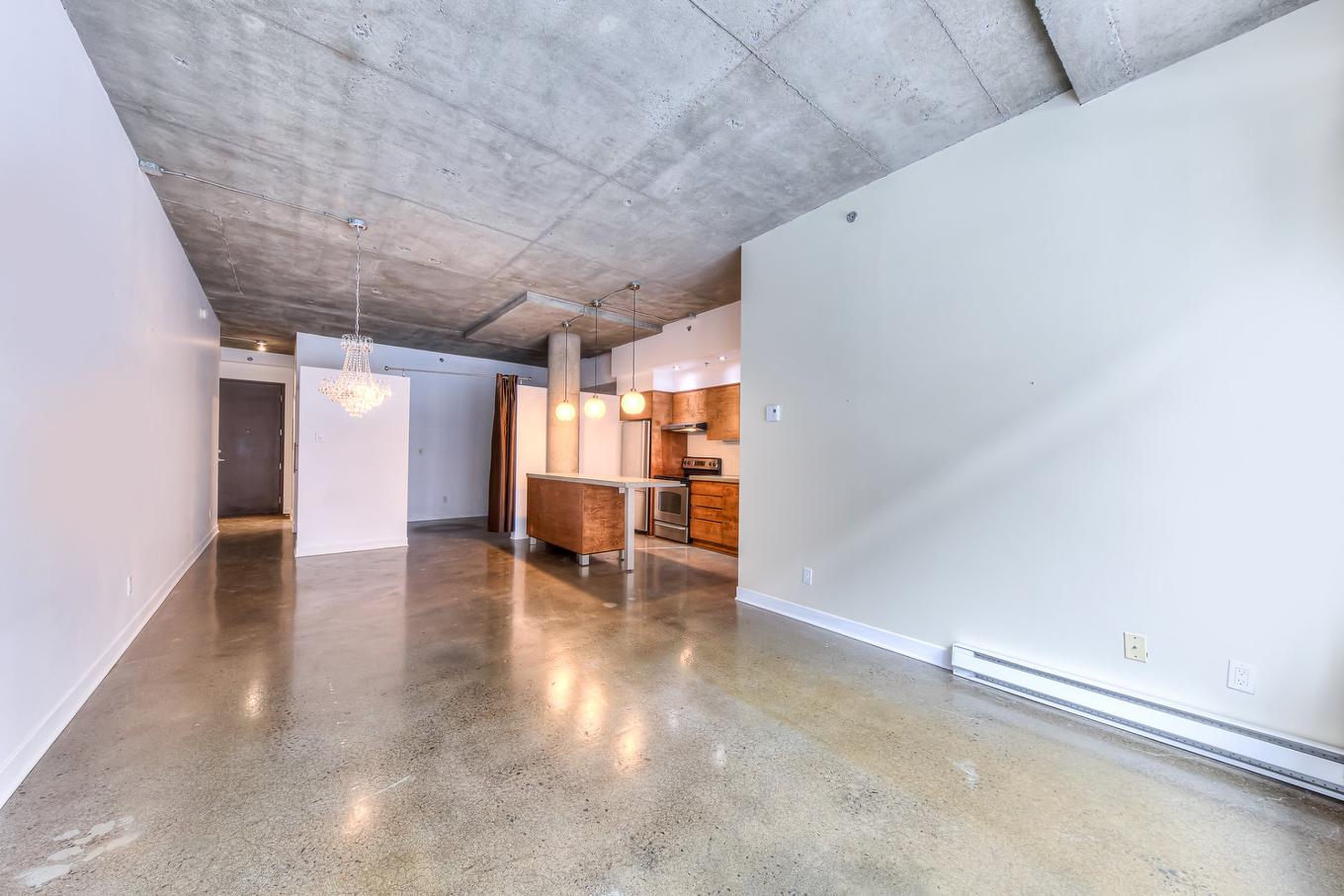 Salon - 117-55 Rue Molière, Montréal (Villeray/Saint-Michel/Parc-Extension), QC - Indoor Photo Showing Other Room