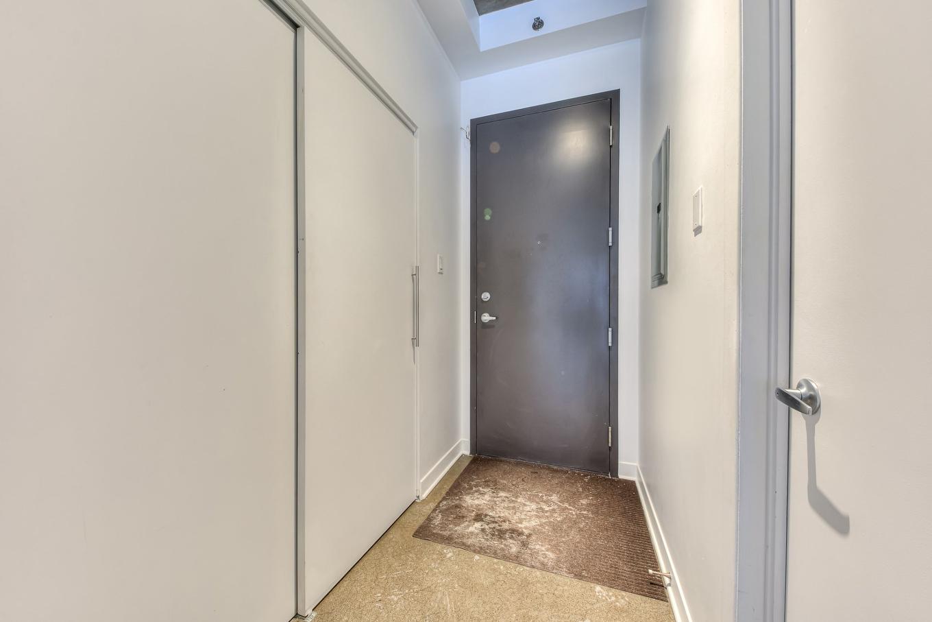 Hall d'entrée/Vestibule - 117-55 Rue Molière, Montréal (Villeray/Saint-Michel/Parc-Extension), QC - Indoor