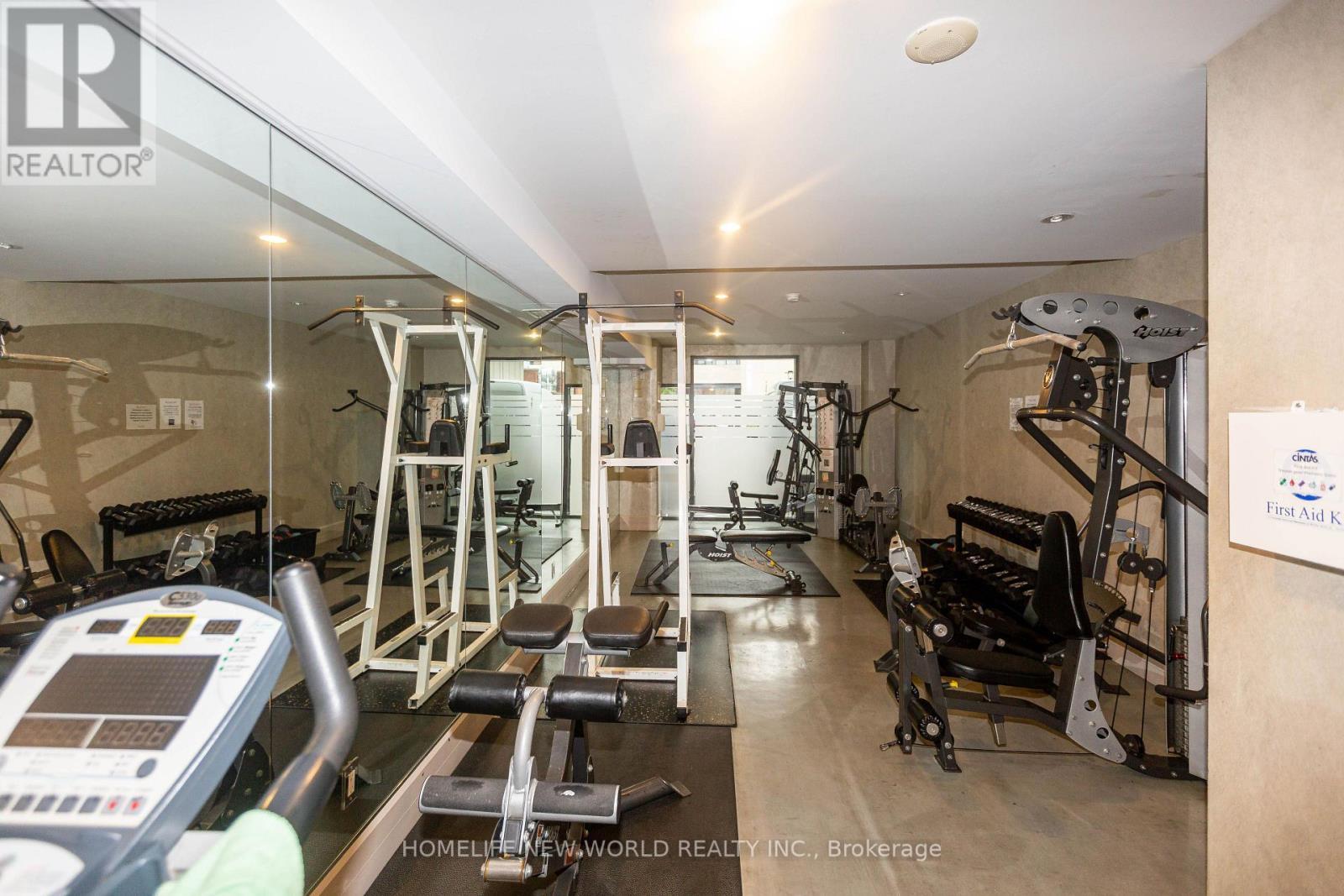 951 - 111 Elizabeth Street, Toronto, ON - Indoor Photo Showing Gym Room