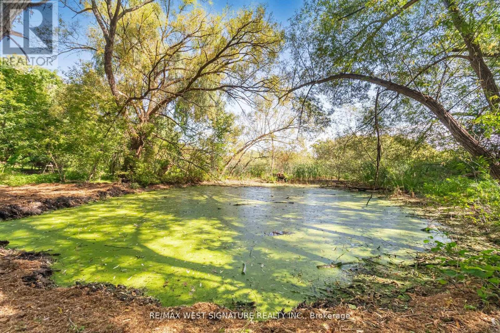 368 Main Street, King, ON - Outdoor With View