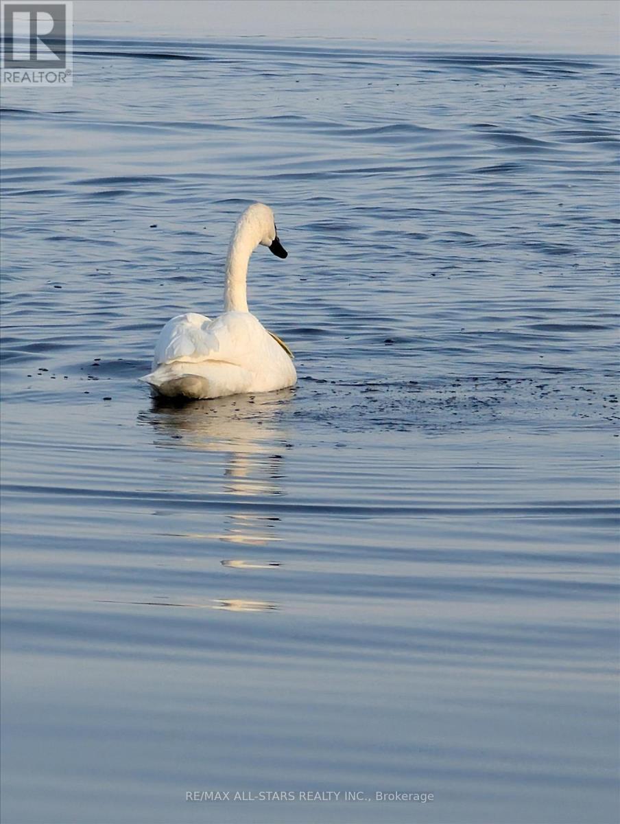 194 Snug Harbour Road, Kawartha Lakes (Fenelon), ON - Outdoor With View
