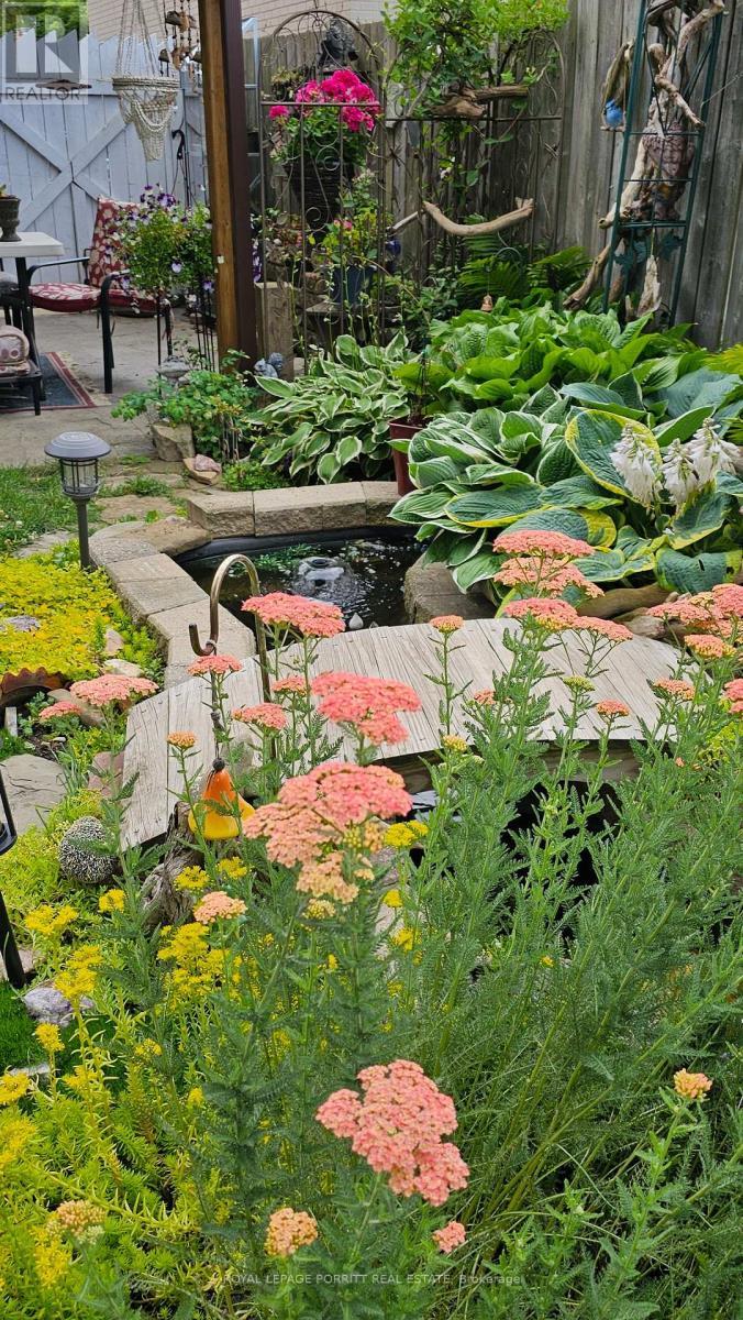 summer garden - 1435 Strathy Avenue, Mississauga, ON - Outdoor