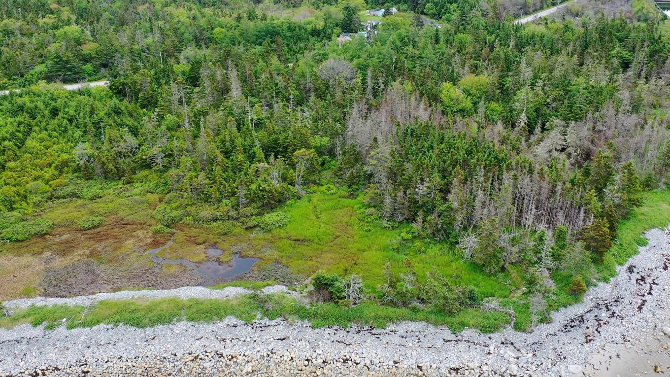 Shore Road, North East Harbour, NS