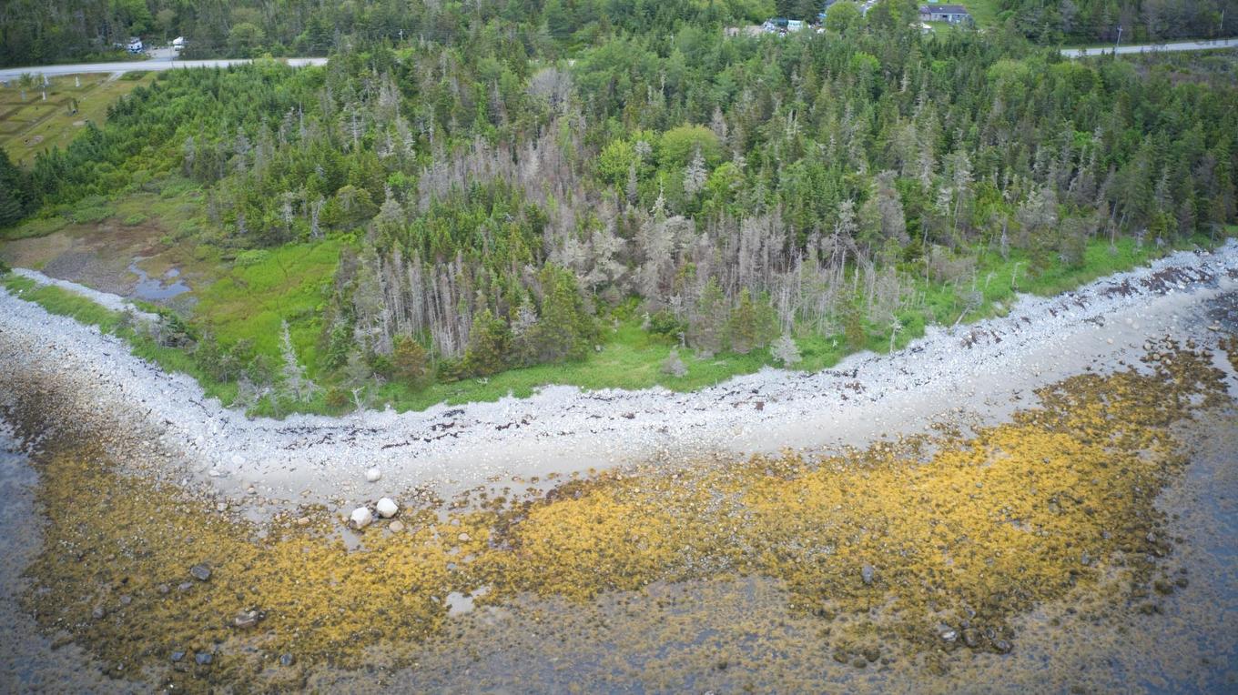 Shore Road, North East Harbour, NS