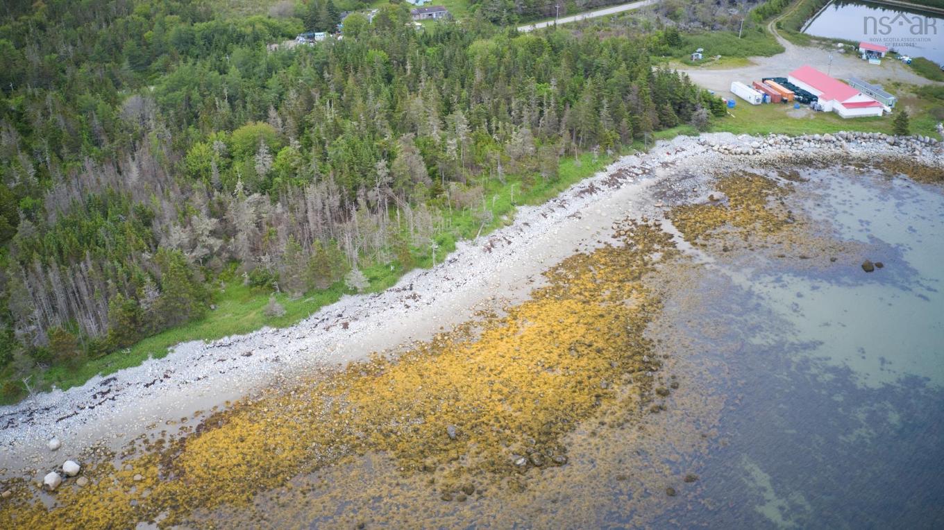 Shore Road, North East Harbour, NS