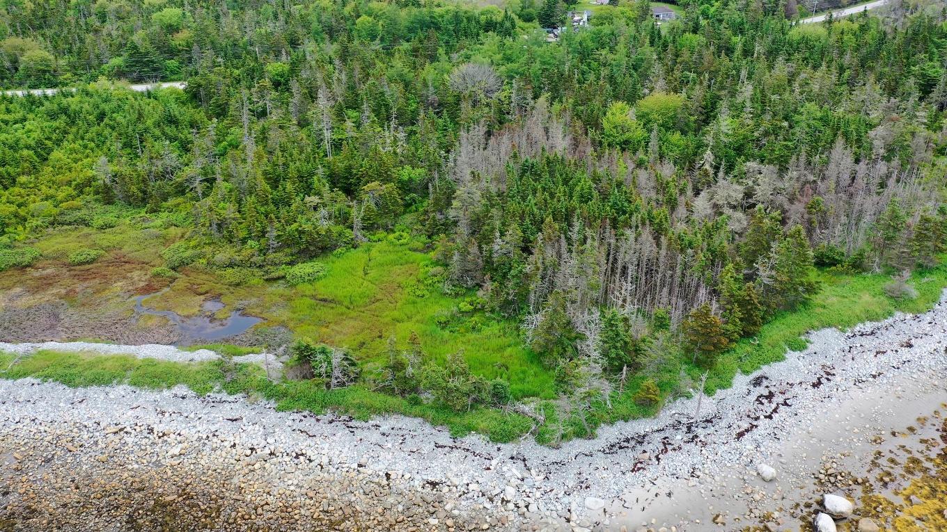 Shore Road, North East Harbour, NS