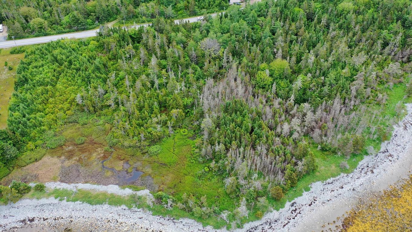 Shore Road, North East Harbour, NS
