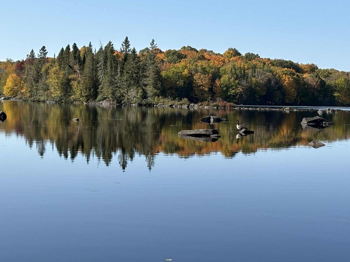 Water view - 716 Ch. Du Lac-Chaud, La Macaza, QC - Outdoor With Body Of Water With View