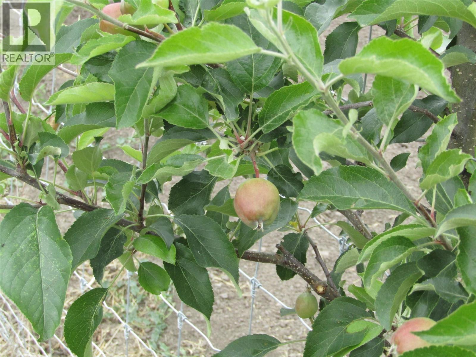 5940 Spencer Road, Grand Forks, BC