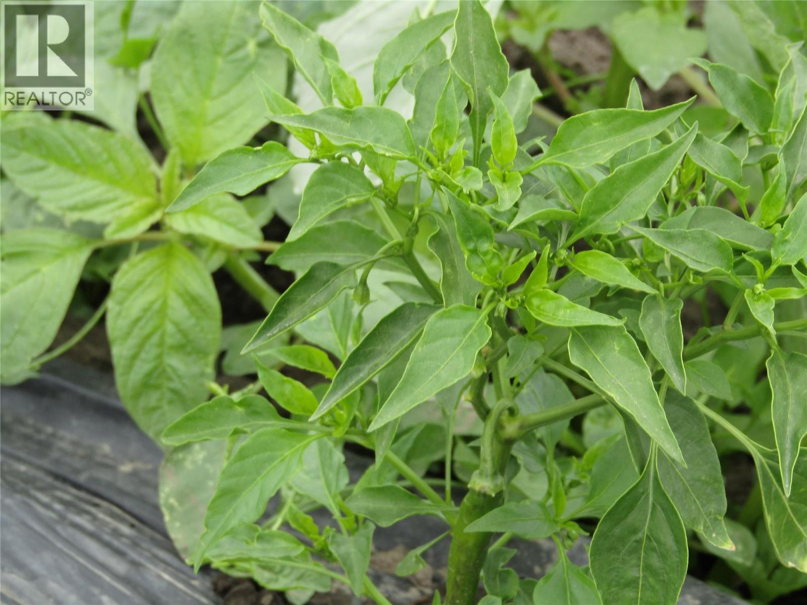 5940 Spencer Road, Grand Forks, BC