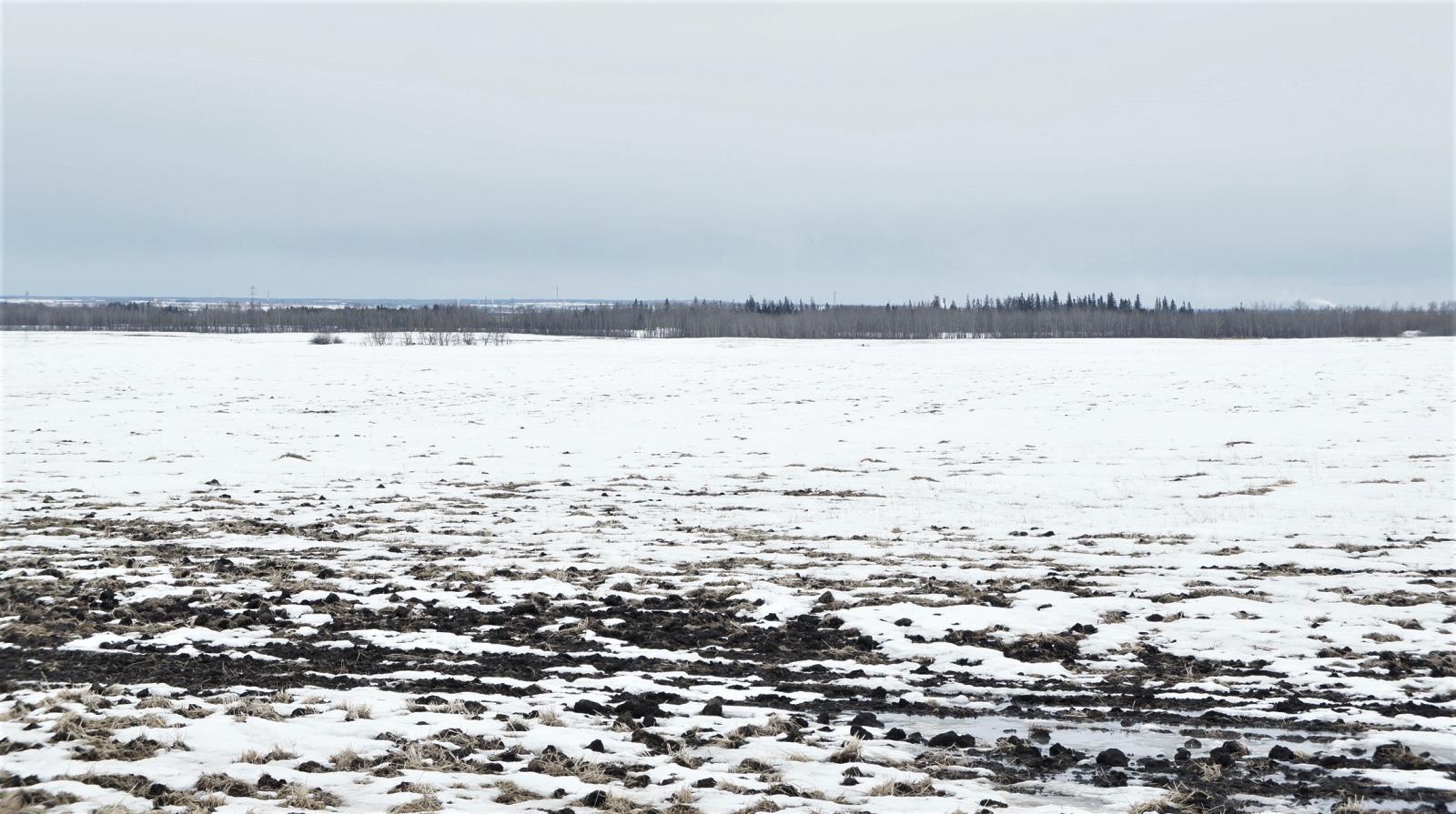 R.Rd 222, Sturgeon County, AB