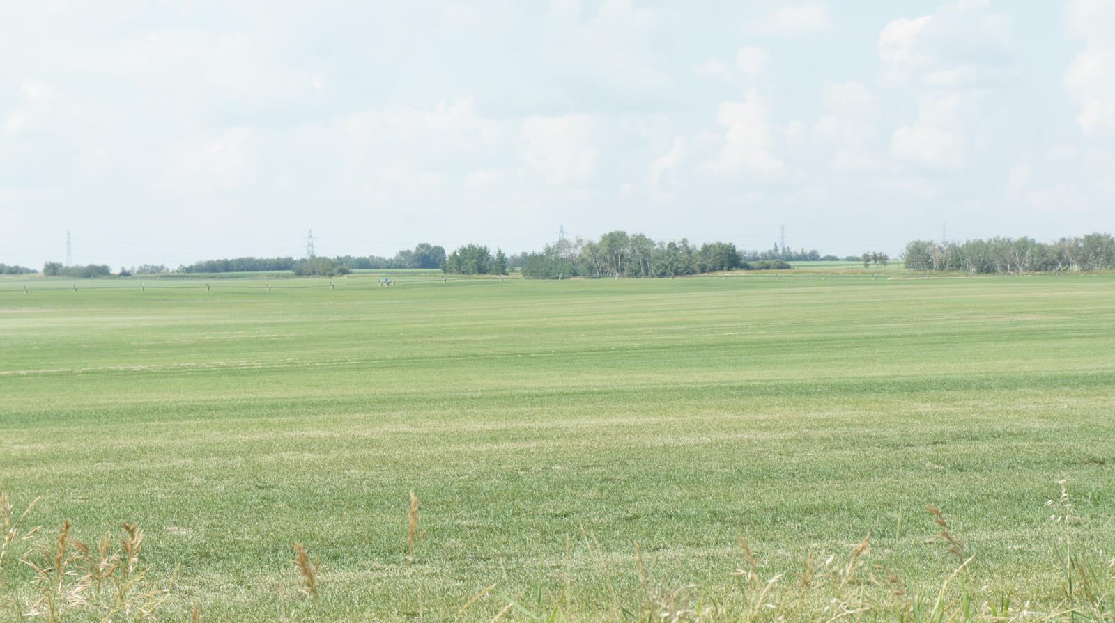 R.Rd 222, Sturgeon County, AB