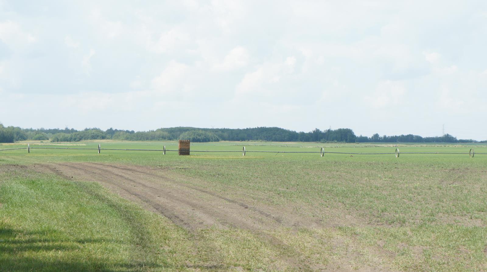 R.Rd 222, Sturgeon County, AB