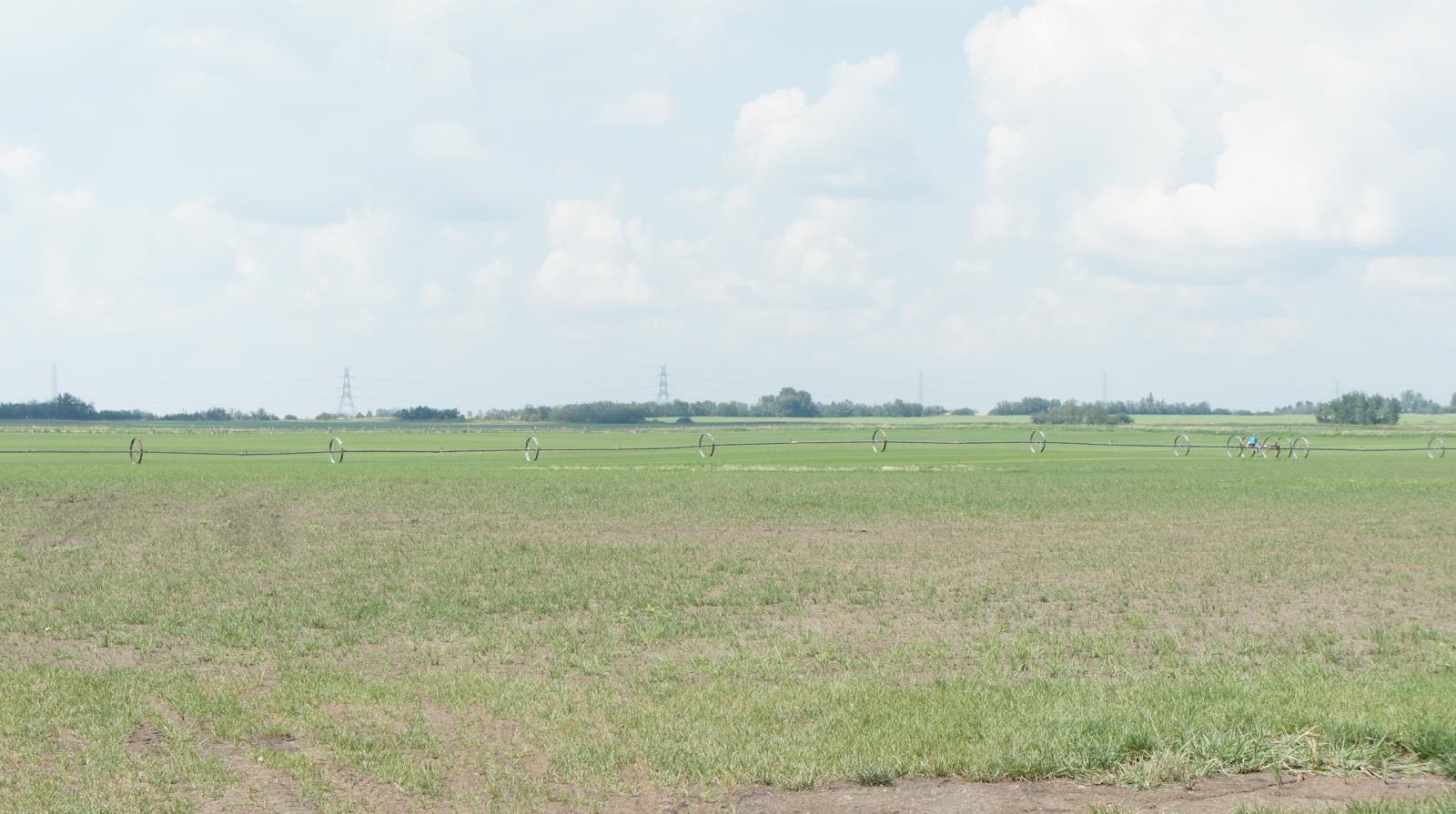 R.Rd 222, Sturgeon County, AB