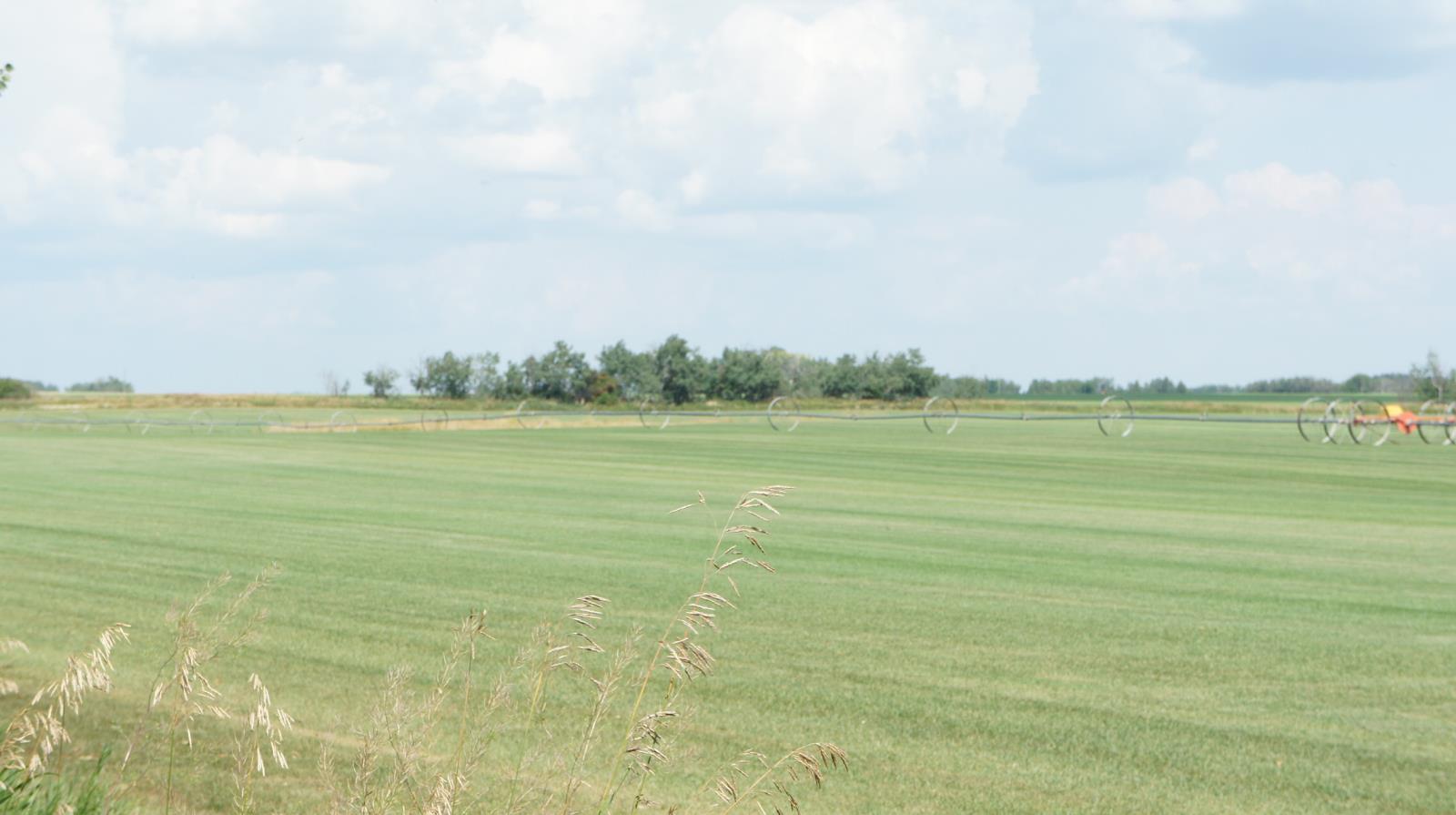 R.Rd 222, Sturgeon County, AB