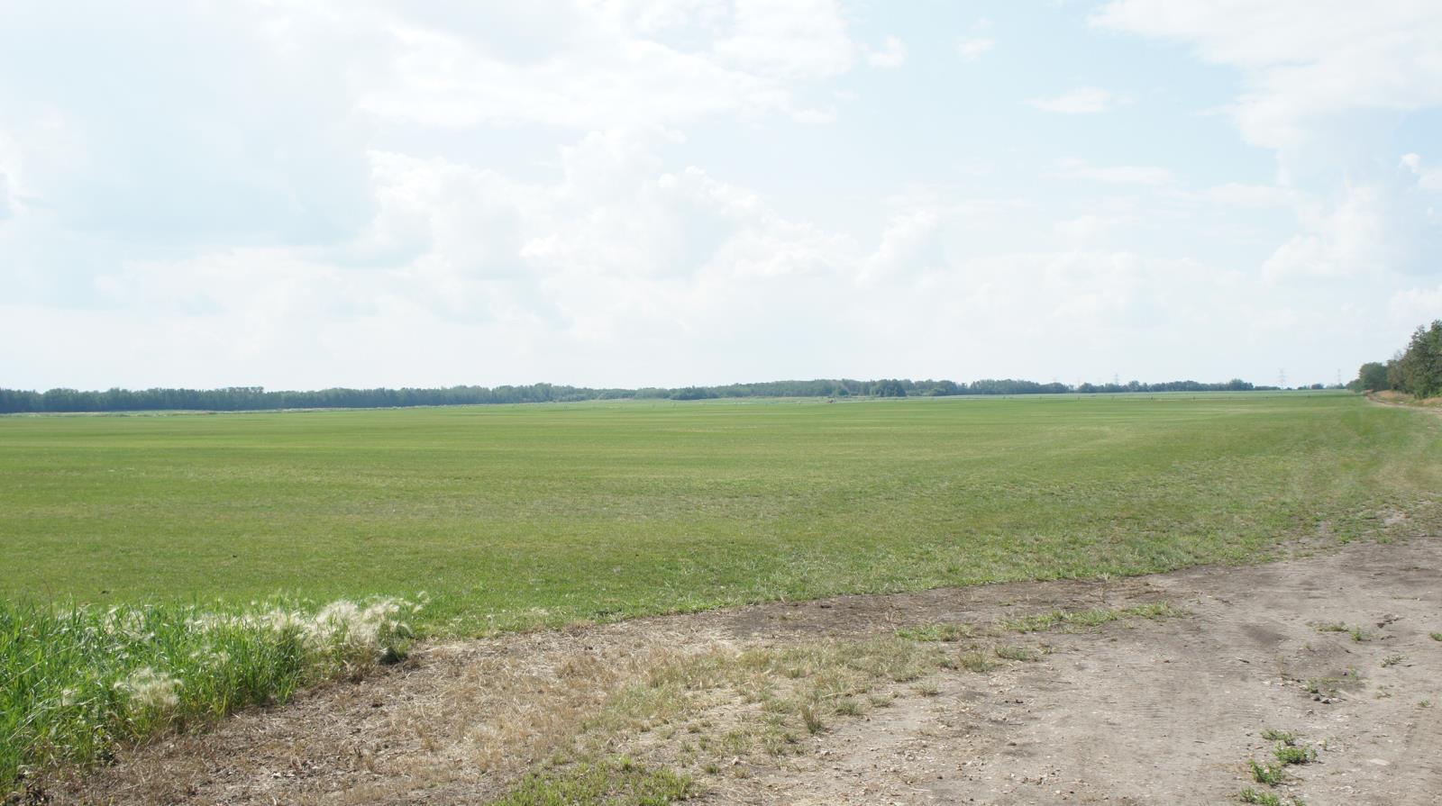 R.Rd 222, Sturgeon County, AB