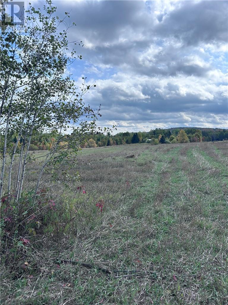 465 Mallard Lake Drive, Bancroft, ON