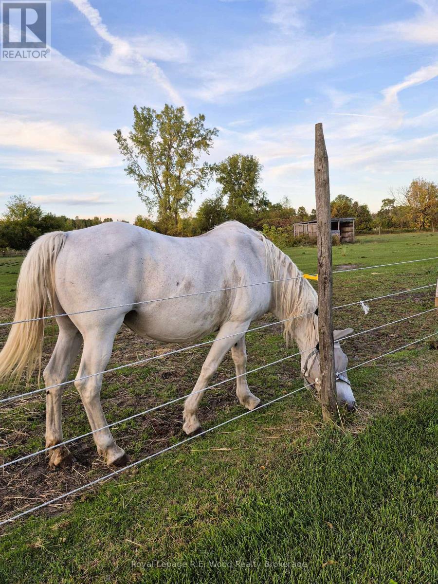 1319 Windham Centre Road 9 Road, Norfolk, ON