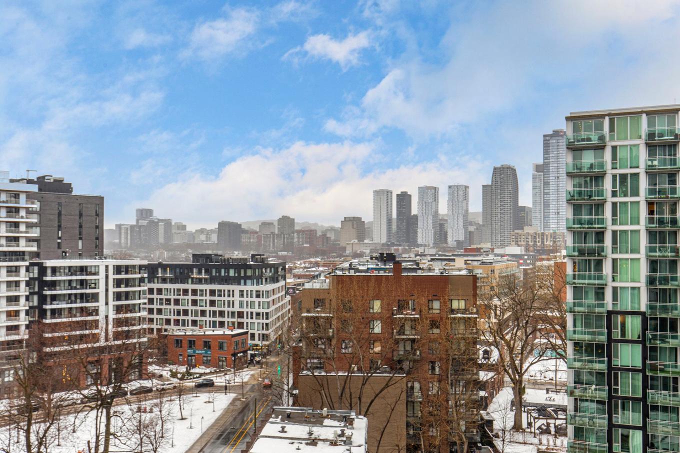 Vue - 1001-175 Rue De La Montagne, Montréal (Le Sud-Ouest), QC - Outdoor With View