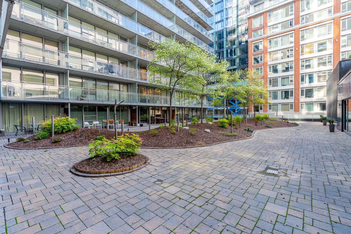 Jardin - 2502-350 Boul. De Maisonneuve O., Montréal (Ville-Marie), QC - Outdoor