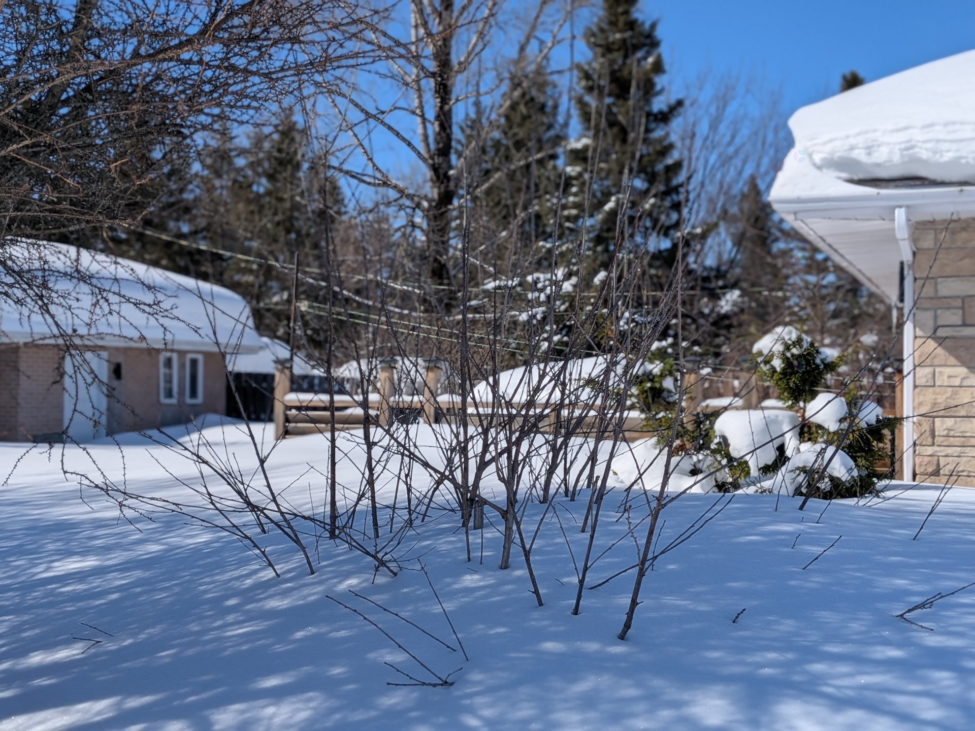 Courtyard - 72 8E Avenue E., Amos, QC